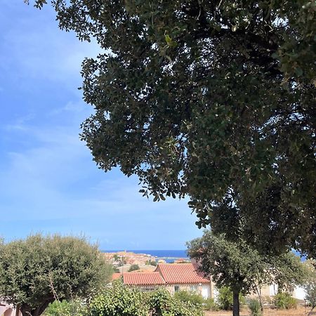 Appartement Rez De Villa LʼÎle-Rousse Dış mekan fotoğraf