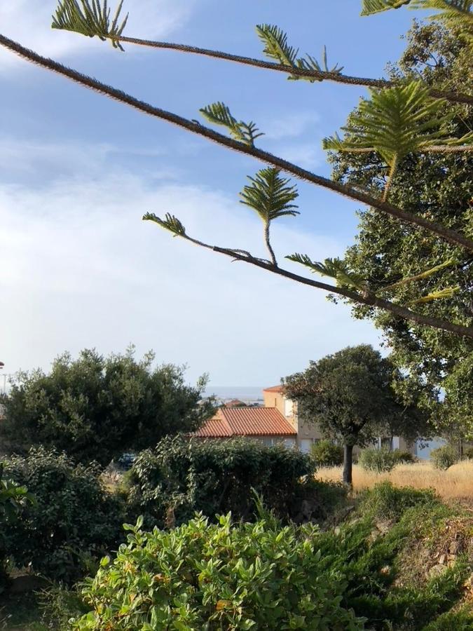 Appartement Rez De Villa LʼÎle-Rousse Dış mekan fotoğraf