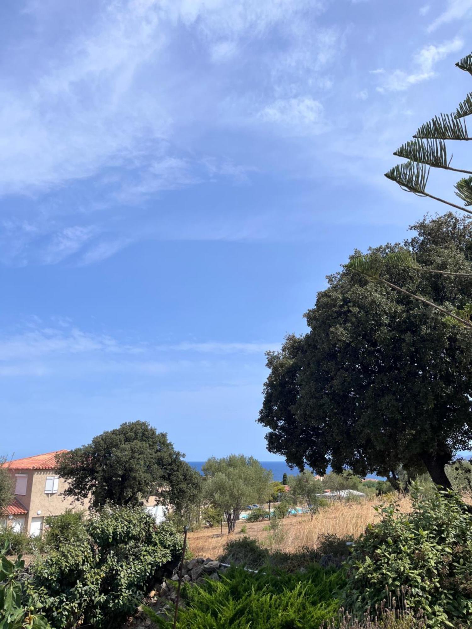 Appartement Rez De Villa LʼÎle-Rousse Dış mekan fotoğraf